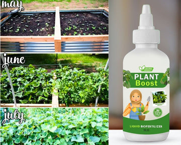 Organic Plant Booster (Pack of 4)